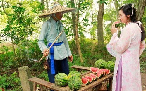 砀山吃瓜在路上,吃瓜路上的悠闲时光