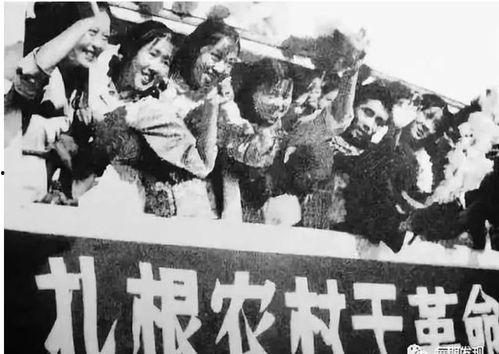 下乡知青吃瓜,下乡知青的夏日瓜香记忆