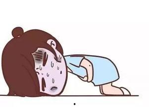 吃瓜厕所总,网络热词背后的文化现象