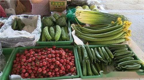 淮江吃瓜,揭秘当地特色美食背后的故事