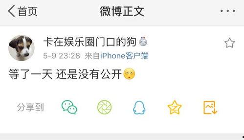 吃瓜爆料特效,吃瓜爆料特效，带你领略幕后风云