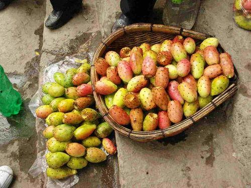 仙桃健鼎吃瓜,吃瓜群众眼中的美食盛宴