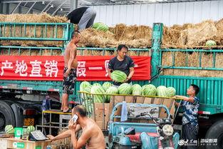 日照吃瓜庄某,揭秘瓜农的甜蜜生活