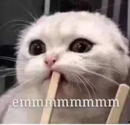 吃瓜朋友来了吖